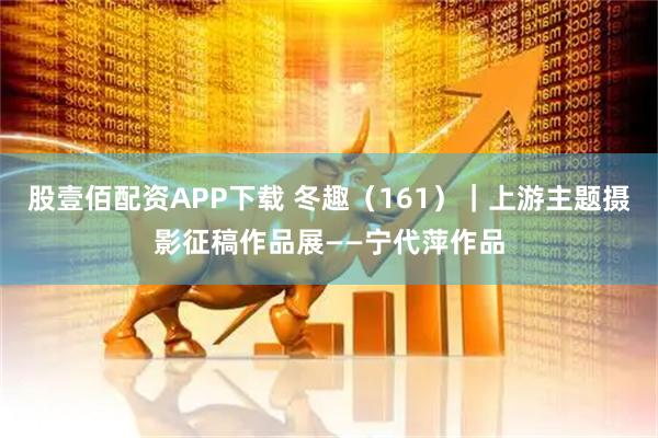 股壹佰配资APP下载 冬趣（161）｜上游主题摄影征稿作品展——宁代萍作品