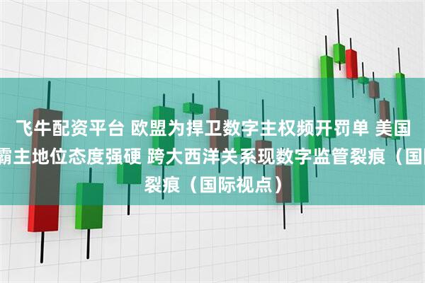 飞牛配资平台 欧盟为捍卫数字主权频开罚单 美国为维护霸主地位态度强硬 跨大西洋关系现数字监管裂痕（国际视点）